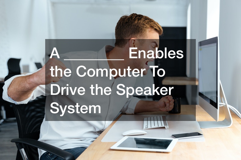 A ________ Enables the Computer To Drive the Speaker System